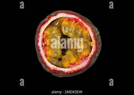 Passiflora edulis, Passionsfrucht, Passionsfrucht, Nahaufnahme, Früchte mit Samen Stockfoto