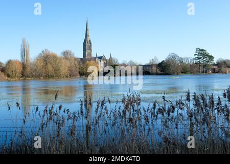 2023 Überschwemmungen in Salisbury. Salisbury Kathedrale von den Wasserwiesen des Stadtpfads aus gesehen. UK. Stockfoto