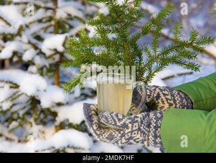 Person mit traditionellen skandinavischen Fäustlingen im Vintage-Stil, die Spruce Tree Needle Tea in transparentem Teeglas hält. Verschneite Fichte im Hintergrund. Stockfoto