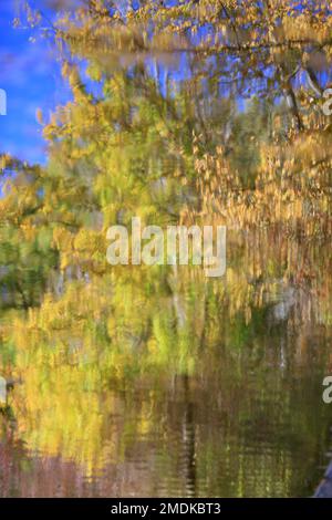 Canal de la Siagne, Alpes Maritimes, 06, Cote d'Azur, Frankreich Stockfoto