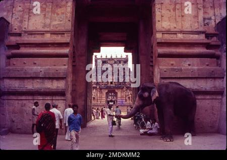 Nataraja Tempel, auch bekannt als Chidambaram Nataraja Tempel, ist ein hinduistischer Tempel, der Nataraja gewidmet ist, die Form von Shiva als herr des Tanzes. Dieser Tempel befindet sich in Chidambaram, Tamil Nadu, Indien. Dieser Tempel hat antike Wurzeln und ein Shiva-Schrein existierte an dem Ort, als die Stadt als Thillai bekannt war. Hinduistischer Tempel, der Nataraja gewidmet ist, die Form von Shiva als herr des Tanzes. Stockfoto