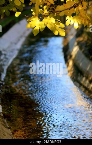 Canal de la Siagne, Alpes Maritimes, 06, Cote d'Azur, Frankreich Stockfoto