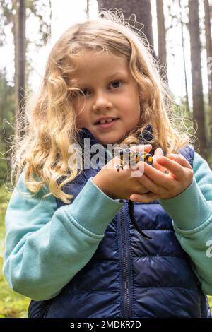 Europäischer Feuersalamander (Salamandra salamandra), kleines Mädchen mit salamandra in der Hand Stockfoto