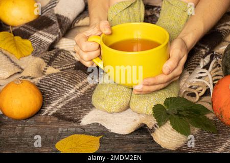 Ein Mädchen sitzt in Socken auf dem Boden und hält eine Tasse Tee auf einer Decke und Kürbisse liegen in der Nähe im Herbst, zu Hause und bequem, trinken Tee im Herbst, fe Stockfoto