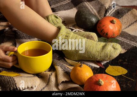 Ein Mädchen sitzt in Socken auf dem Boden und hält eine Tasse Tee auf einer Decke und Kürbisse liegen in der Nähe im Herbst, zu Hause und bequem, trinken Tee im Herbst, fe Stockfoto