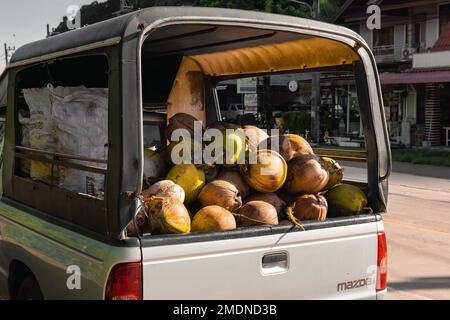 Kokosnüsse, transportiert auf einem Pickup-Truck in Ko Lanta, Krabi, Thailand. 30. November 2022. Stockfoto