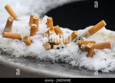 München, Deutschland. 23. Januar 2023. Zigarettenkippen sind am Rand eines öffentlichen Mülleimers am Eingang der U-Bahn zu sehen. Kredit: Peter Kneffel/dpa/Alamy Live News Stockfoto