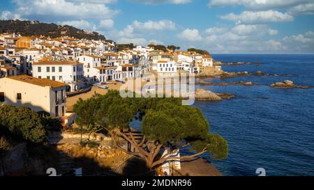 Calella de Palafrugell, weiß getünchten traditionellen Fischerdorf und ein beliebtes Reise- und Urlaubsziel an der Costa Brava, Katalonien, Spanien. Stockfoto