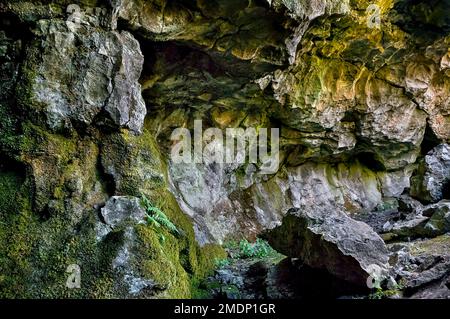 Nachweis der Lösungstätigkeit in Kalkstein in Form von Muschelbildung und Frakturen am Eingang zur Windy Knoll Cave in Castleton, Peak District. Stockfoto