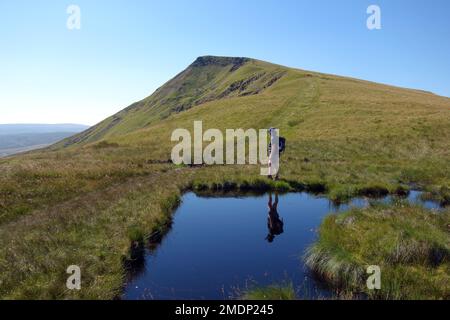 Reflexion des Mannes, der an einem Teich auf dem Ridge Path vorbeigeht, zum NAB auf „Wild Boar Fell“ aus dem hohen Dolphinsty im Eden Valley, Yorkshire Dales. UK. Stockfoto