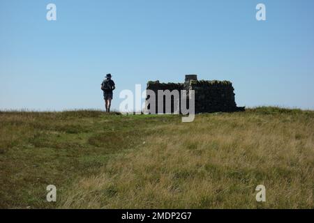 Ein Mann, der zum Trig Pillar & Stone Shelter auf dem Gipfel des „Wildschweinfalles“ im Eden Valley, Yorkshire Dales, geht. UK. Stockfoto