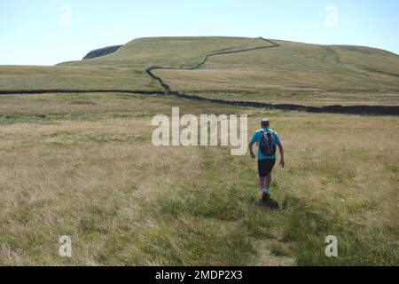 Man (Hiker) Walking on a Path by Stone Wall to Swarth Fell from Wild Boar Fell im Eden Valley im Yorkshire Dales National Park, England, Großbritannien. Stockfoto