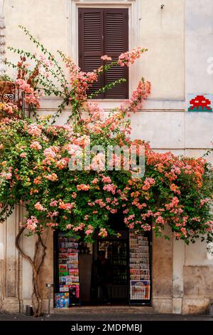 Schaufensterfront auf der Piazza della Madonna dei Monti, Rom, Italien Stockfoto