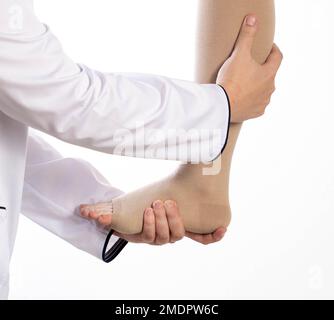 Der Arzt des Phlebologen wählt die Größe der Kompressionsstrümpfe des Patienten aus. Weißer Hintergrund, Nahaufnahme. Phlebitis Stockfoto