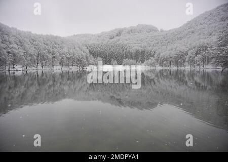 Blick auf den Balkana-See und die Umgebung mit Schnee bedeckt. Der Balkana-See liegt am Fuße des Berges Lisina, etwa 700 Meter über dem Meeresspiegel, umgeben von Weiden, Eichen und Nadelwäldern, und liegt etwa fünf Kilometer westlich von Mrkonjic Grad. Der beliebteste Ort ist ein Picknick in diesem Teil von Bosnien und Herzegowina. Es besteht aus zwei künstlichen Seen (groß und klein), die durch die Dämmung des Quellwassers der Crna Rijeka geschaffen wurden und eine Fläche von etwa 56.000 Quadratmetern in Bosnien und Herzegowina am 23. Januar 2023 abdecken. Foto: Dejan Rakita/PIXSELL Stockfoto