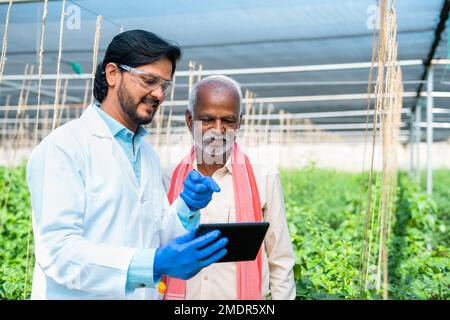 Glückliche Agro-Wissenschaftlerin, die den Landwirten das Pflanzenwachstum vom digitalen Tablet erklärt, während sie im Gewächshaus sitzen – Konzept der modernen Landwirtschaft, technische Unterstützung Stockfoto