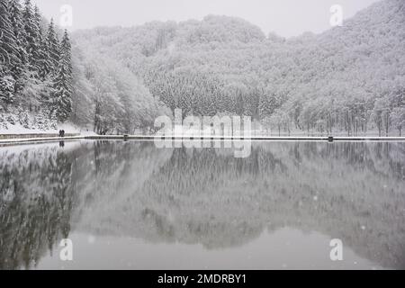 Blick auf den Balkana-See und die Umgebung mit Schnee bedeckt. Der Balkana-See liegt am Fuße des Berges Lisina, etwa 700 Meter über dem Meeresspiegel, umgeben von Weiden, Eichen und Nadelwäldern, und liegt etwa fünf Kilometer westlich von Mrkonjic Grad. Der beliebteste Ort ist ein Picknick in diesem Teil von Bosnien und Herzegowina. Es besteht aus zwei künstlichen Seen (groß und klein), die durch die Dämmung des Quellwassers der Crna Rijeka geschaffen wurden und eine Fläche von etwa 56.000 Quadratmetern in Bosnien und Herzegowina am 23. Januar 2023 abdecken. Foto: Dejan Rakita/PIXSELL Stockfoto