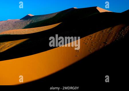 Rote Sanddünen im Namib-Naukluft Park, Namibia. Stockfoto
