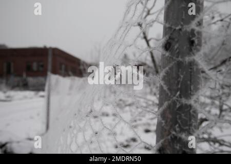 Fotoshooting in einer alten Fabrik, Graffiti-Kunstmauern, alten Industriebauten und eiskaltem Winterwetter. Schnee auf dem Boden Stockfoto