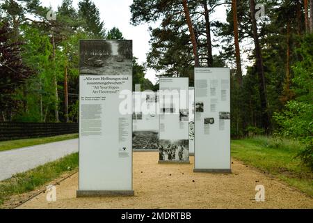 Informationstafeln, Kesselschlacht bei Halbe, Brandenburg, Deutschland Stockfoto