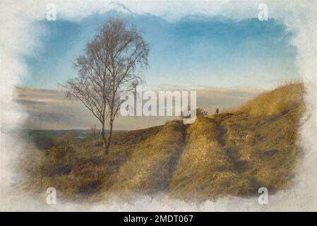 Digitale Aquarellmalerei einer einsamen Silver Birch tree.in die Wintersonne am späten Nachmittag im Park Hall Country Park. Stockfoto