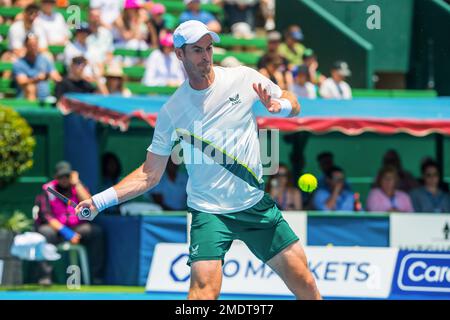 Melbourne, Australien. 12. Januar 2023. Sir Andy Murray von Großbritannien in Aktion am 3. Tag des Kooyong Classic Tennis Tournament-Spiels gegen Alex de Minaur von Australien im Kooyong Lawn Tennis Club. Im Spiel des 3. Tages stellte Sir Andy Murray den australischen Publikumsfavoriten Alex de Minaur (6:3, 6:3) auf. De Minaur konnte seinen beeindruckenden Sieg am 1. Tag nicht fortsetzen und konnte es nicht mit dem reinen Sieg des zweifachen Wimbledon-Champions vor seinem Heimspiel aufnehmen. Kredit: SOPA Images Limited/Alamy Live News Stockfoto
