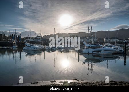 Conwy Marina Bootsanlegestellen an der Küste von Nordwales Stockfoto