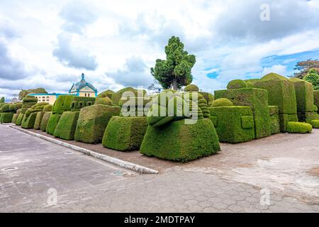 Tulcan, Ecuador - 8. Oktober 2022: Friedhof mit grünen Skulpturen aus Pflanzen Stockfoto