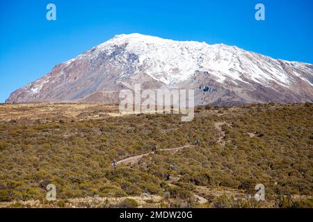 Schnee auf dem Gipfel des Kilimandscharo. Tansania. Stockfoto