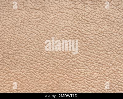 Lederhaut in Beige- oder hellbrauner Farbe, natürlich mit Linienmuster oder abstraktem Hintergrund. Kann als Hintergrundbild oder als luxuriöse Veranstaltung im Hintergrund verwendet werden Stockfoto
