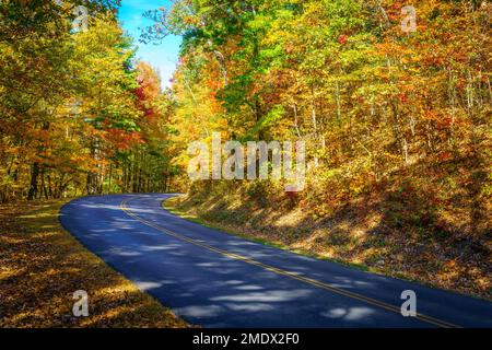 Der Blue Ridge Parkway schlängelt sich durch die Wälder im Herbst bei Asheville, North Carolina Stockfoto
