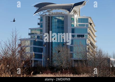 Tauben flogen in einer kleinen Herde vor dem St. David's Hotel, Cardiff Bay am 2023. Januar Stockfoto