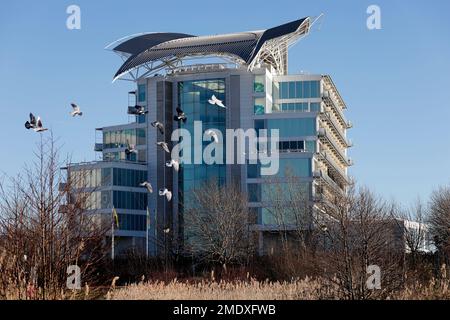 St David's Hotel and Spa, Cardiff Bay mit einer Schar Tauben, die vor Ihnen herumfliegen. Aufgenommen im Januar 2023. Stockfoto