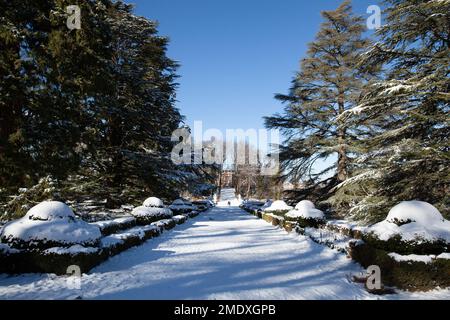 Segovia, Spanien - 4. Januar 2022: Gärten des Königspalastes La Granja de San Ildefonso, bedeckt mit Schnee an einem sonnigen Tag im Winter Stockfoto