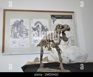 Marilia, São Paulo, Brasilien - 27. Oktober 2022: Kleine Nachbildung eines Dinosauriers im Labor des Paläontologiemuseums in der Stadt Marília, São Stockfoto