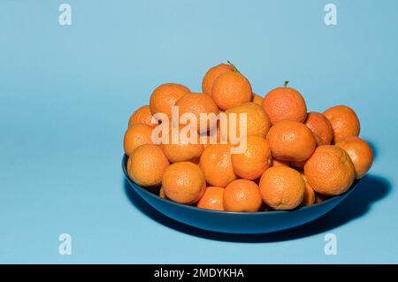 Ökologische Tangerinen aus dem Valencianischen Obstgarten in Spanien auf einem blauen Teller. Stockfoto