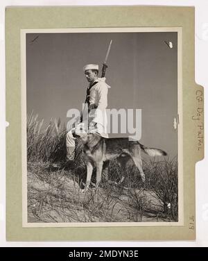 Ein ausgebildeter Hund der Küstenwache wird gezeigt, wie er seinen Kopf hebt, während er an der Luft schnüffelt. Diese Hunde sind ausgebildet, um bei einer Vielzahl von Operationen zu helfen, einschließlich Such- und Rettungsaktionen, Drogenaufdeckung und Strafverfolgungsaufgaben, und spielen eine wichtige Rolle bei Missionen der Küstenwache. Stockfoto