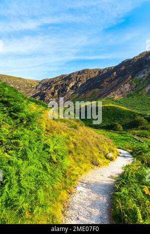 Klettern und Seeblick auf dem cadair idris Hügel in wales 2022. Stockfoto