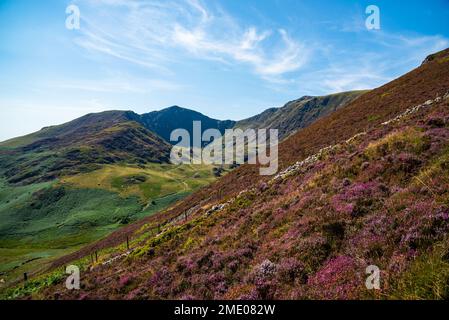 Klettern und Seeblick auf dem cadair idris Hügel in wales 2022. Stockfoto