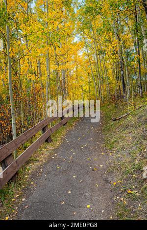 In den San Juan Mountains in Colorado führt ein Asphaltpfad durch einen Wald aus goldenen Affen. Stockfoto