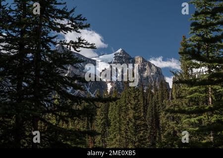 Blick auf den Mount Fairview vom Wald rund um Lake Louise in Kanada Stockfoto