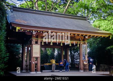 Fast jeder Shinto-Schrein verfügt über eine „Temizusha“ (手水舎), eine kleine Struktur mit einem ständig laufenden Steinbrunnen, in dem die Besucher spülen Stockfoto
