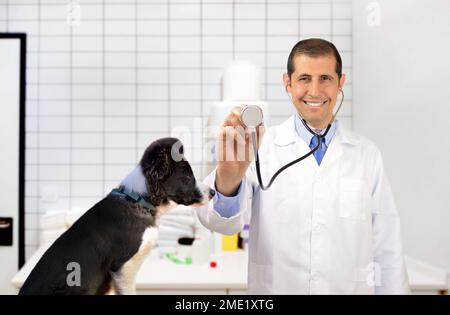 Männlicher Tierarzt Hand halten Stethoskop mit einem Hund auf dem Untersuchungstisch Stockfoto