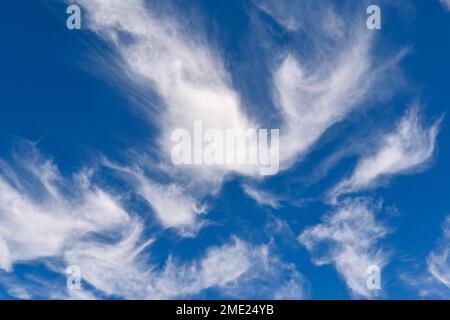 Weiße Zirruswolken in einem tiefen blauen Himmel. Keine Menschen. Hintergründe. Stockfoto