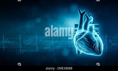 Darstellung der 3D-Darstellung des menschlichen Herzens und der EKG-Kurve mit Kopierbereich und blauem Hintergrund. Kardiovaskuläres System, Anatomie, Medizin und Gesundheitswesen, BI Stockfoto