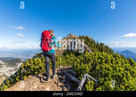 Deutschland, Bayern, Wanderer auf dem Gipfel des Wildalpjoch-Berges Stockfoto