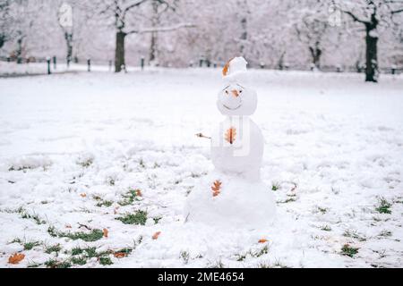 Schneemann im schneebedeckten Park Stockfoto