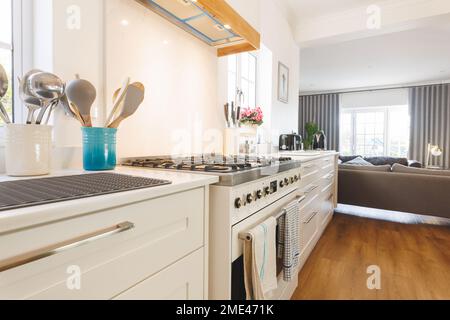 Allgemeiner Blick auf Luxusküche mit Arbeitsfläche und Küchenausstattung Stockfoto