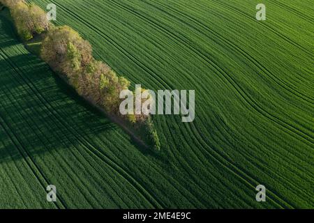 Deutschland, Bayern, Luftaufnahme von grünen Landschaftsfeldern im Frühling Stockfoto