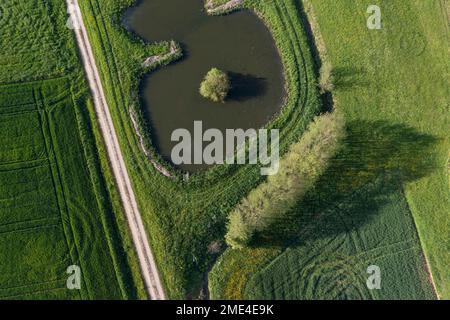 Deutschland, Bayern, Luftaufnahme der unbefestigten Straße, die sich im Frühjahr an einem Teich vorbei erstreckt und von grünen Feldern umgeben ist Stockfoto